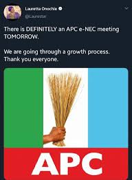 Explore tweets of lauretta onochie @laurestar on twitter. Multiple Times Lauretta Onochie Buhari S Aide Declared She Is Apc Member International Centre For Investigative Reporting