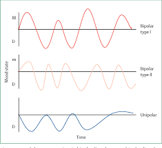 Figure 1 From Bipolar Disorder Diagnosis Challenges And Future Directions Semantic Scholar
