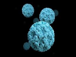 Shestakova moscow state medical dental university. Stomach Flu Vs Covid 19 How To Tell The Difference As Symptoms Of Norovirus Are Similar To Coronavirus Health Tips And News