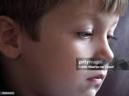 571 Max Stark Stock Photos, High-Res Pictures, and Images