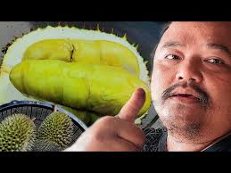 Durian Tupai King, Durian Tikus King dan Durian Kampung, yang terbaik di  Daerah Belaga.