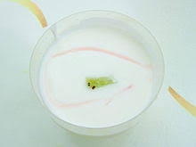 Jogurt is found in shining force: Jogurt Wikiztegia