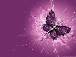 58 cute butterfly backgrounds images in full hd, 2k and 4k sizes. Butterfly Wallpaper Butterfly Backgrounds Wallpapers Hemslojdsgoten Desktop Background