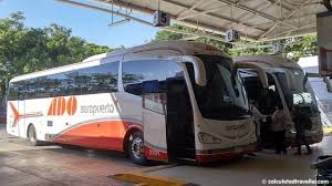 We offer competitive shuttle services between cancun's international airport (cun) and all of the area's main resorts, hotels, and rental properties whether in. A Guide To Riding Public Transportation In Playa Del Carmen Mexico