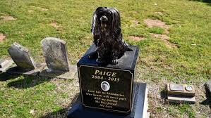 Who is the owner of pet rest cemetery? Pet Cemetery Sydney Daily Telegraph
