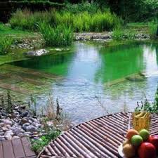 Can You Swim In A Pool Without Chemicals Natural Pool Natural Swimming Pool Natural Swimming Pools