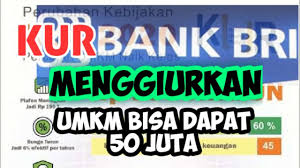 Jun 26, 2021 · wawako palembang prihatin banyak bangunan halte bus rusak. Kur Bri Umkm Dapat Sampai 50 Juta Youtube