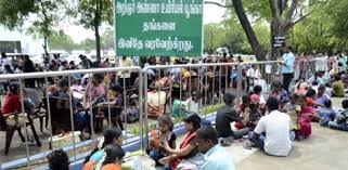 Live Chennai Vandalur Zoo May Remain Closed For Pongal Holidays Vandalur Zoo Pongal Holidays Pongal Holiday Festival Arignar Anna Zoological Park