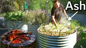 But always test the soil before spreading ashes. What Happens When You Use Ash In The Garden Youtube