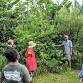 Tropical Food Forest and Plant Medicine Tour event image