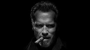 HD wallpaper: Arnold Schwarzenegger, actor, beard, monochrome, face  portrait