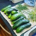CJG Registered Massage Therapy Vancouver - Not a bad cucumber haul ...