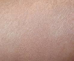 Mac Unsung Heroes Mineralize Skinfinish Natural Makeup