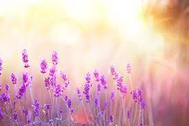 Digestion Connection Seasonal Allergies And Digestive Problems Be Balanced Healing
