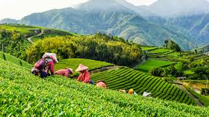 Welcome to the official portal website of the republic of china, taiwan. Taiwan 2021 Top 10 Touren Trips Aktivitaten Mit Fotos Erlebnisse In Taiwan Getyourguide