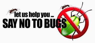 Most effective exterminator in queens only at kg pest control available at an affordable price. Affordable Pest Control Home Facebook
