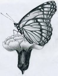 Or it makes your drawing simple. 40 Realistic 3d Pencil Sketches And Drawings On Paper Pencil Drawings Of Flowers Easy Butterfly Drawing Nature Drawing