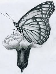 Nature butterfly on flower drawing 40 Realistic 3d Pencil Sketches And Drawings On Paper Pencil Drawings Of Flowers Easy Butterfly Drawing Nature Drawing
