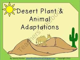 Desert Plant And Animal Adaptations Pack Product From Please Feed The Animals On Teachersnotebook Com Animal Adaptations Animal Life Cycles Adaptations
