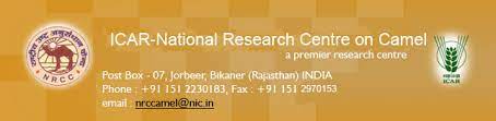 This page contains all the active and recently expired job openings and recruitment notification from national research centre on camel nrcc camel 2021. National Research Centre On Camel