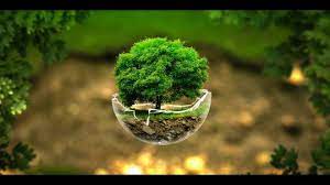Super High Quality Wallpapers For Laptop Hd Nature Wallpapers Nature Tree Nature Images Hd