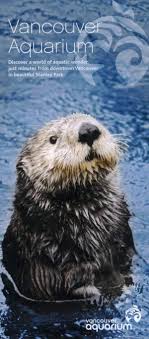 Host marco werman has the story. Vancouver Aquarium Things To Do On Visitortips Vancouver Aquarium Vancouver Vancouver Vacation