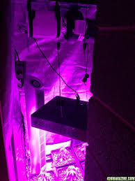 Hydropolis grow tent, 3x3+ hydropolis grow tents have taken the best features from the tents in the market today and applied years of experience to innovate and raise the bar. First Grow 3x3 Tent Soil Mars 1200w Led 420 Magazine