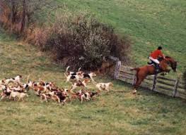 This image file is the windows 3.1 version. Hunt Club Insurance Fox Hunt Club Insurance Allen Financial Insurance