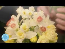 Martha stewart geraniums are never pinched. Flower Arrangement Martha Stewart Youtube