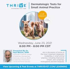 We did not find results for: Summer Wetzel Area Medical Director Thrive Affordable Vet Care Linkedin