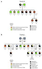 Maybe you would like to learn more about one of these? Https Www Mdpi Com 1422 0067 21 12 4327 Pdf