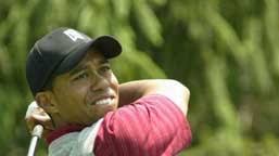 Woods withdraws from matchplay event