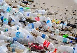 images?q=tbn:ANd9GcTmCijuAoGL8WFzCUKur_FHSkk_1Y5G59PWOAhMd1KUlv9oJS13dCdx_tYelS916qCQt4Q&usqp=CAU