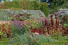 Maybe you would like to learn more about one of these? Pin On Gardening