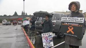 From baths to nail trims to. Veterinarian Accused Of Animal Abuse Pleads Not Guilty Protest Held Outside Courthouse Katu