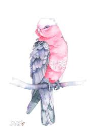 Master Watercolour Techniques Learn To Paint A Galah In Watercolour Louise De Masi Skillshare In 2020 Master Watercolor Skillshare Watercolor Watercolor Bird