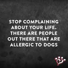 Favourite Dog Quotes Australian Dog Lover Dog Quotes Dog Lover Quotes Animal Lover Quotes