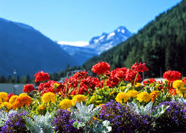 Resultat d'imatges de primavera