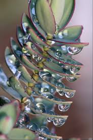 Aquulei Virt-a-mate - Best Free Porn