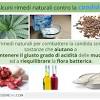 Esistono anche alimenti che aiutano a contrastare la candida. 1