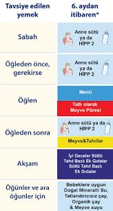 6 aydan itibaren hipp organik
