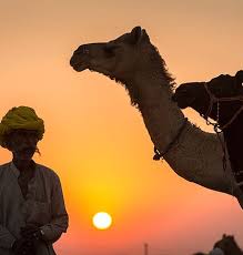 It is 5 days long event which is held annually and is renowned as world's largest camel fair. The Pushkar Fair Pushkar Camel Fair Or Pushkar Mela As It Is Locally Known As Is An Annual Weeklong Camel And Livestock Fair Held In The Town Of Pushkar Between The Months