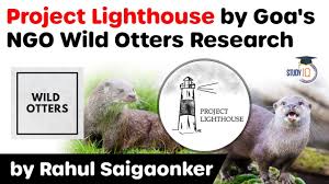 The beacon light can complement other lawn features and ornaments make an ocean motif and light the lawn during diy solar lighthouse plans. Project Lighthouse By Goa S Ngo Wild Otters Research Pdf