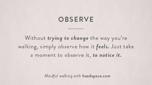 Quotes About Observe 522 Quotes
