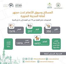 أمانة المدينة المنورة تسمح لـ 37 مطبخا مرخصا ذبح الأضاحي صحافة نت اليمن