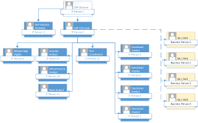 Getting Your Sap Team Structure Right Sap Coe Sap Blog