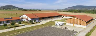 Besondere immobilie zum kauf (haus/kauf): Pferdestalle Und Reithallen Wirtschaftlich Und Asthetisch Wolfsystem De