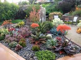This succulent variety is also known as a thanksgiving cactus. Beautiful Garden With Succulent And Cactus Combined With Other Ornamental Plants 12 Beaut Xeriscape Landscaping Succulent Landscaping Rock Garden Landscaping