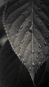 Samsung J2 Wallpaper Full Hd 43 Pictures Htc Wallpaper Dark Wallpaper Pretty Wallpaper Iphone