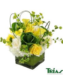 This is the newest place to search, delivering top results from across the web. Trias Flowers Triasflowers Twitter